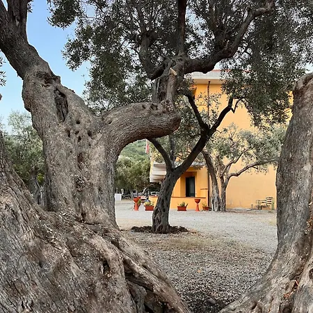 Il Pantheon - Artemide Apartamento Fuscaldo